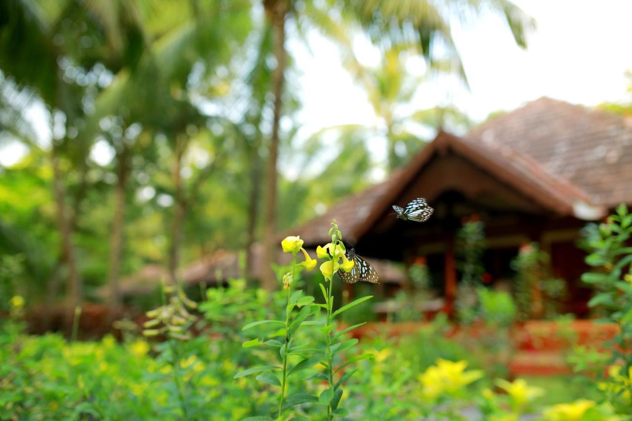 The Nattika Beach Resort Thrissur Exterior foto